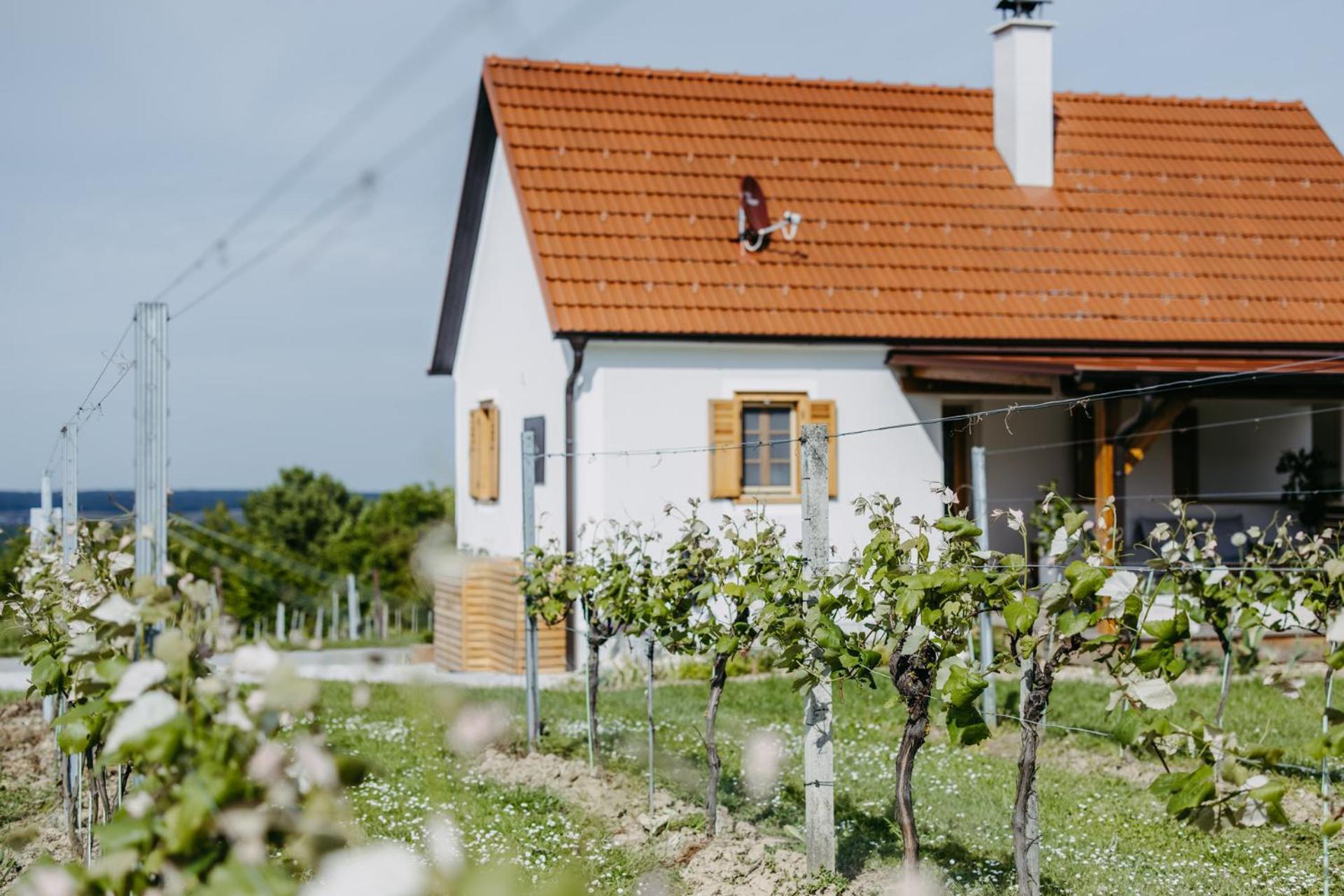 Appartamento Urlaub Im Kellerstoeckl Dunst Strem Camera foto