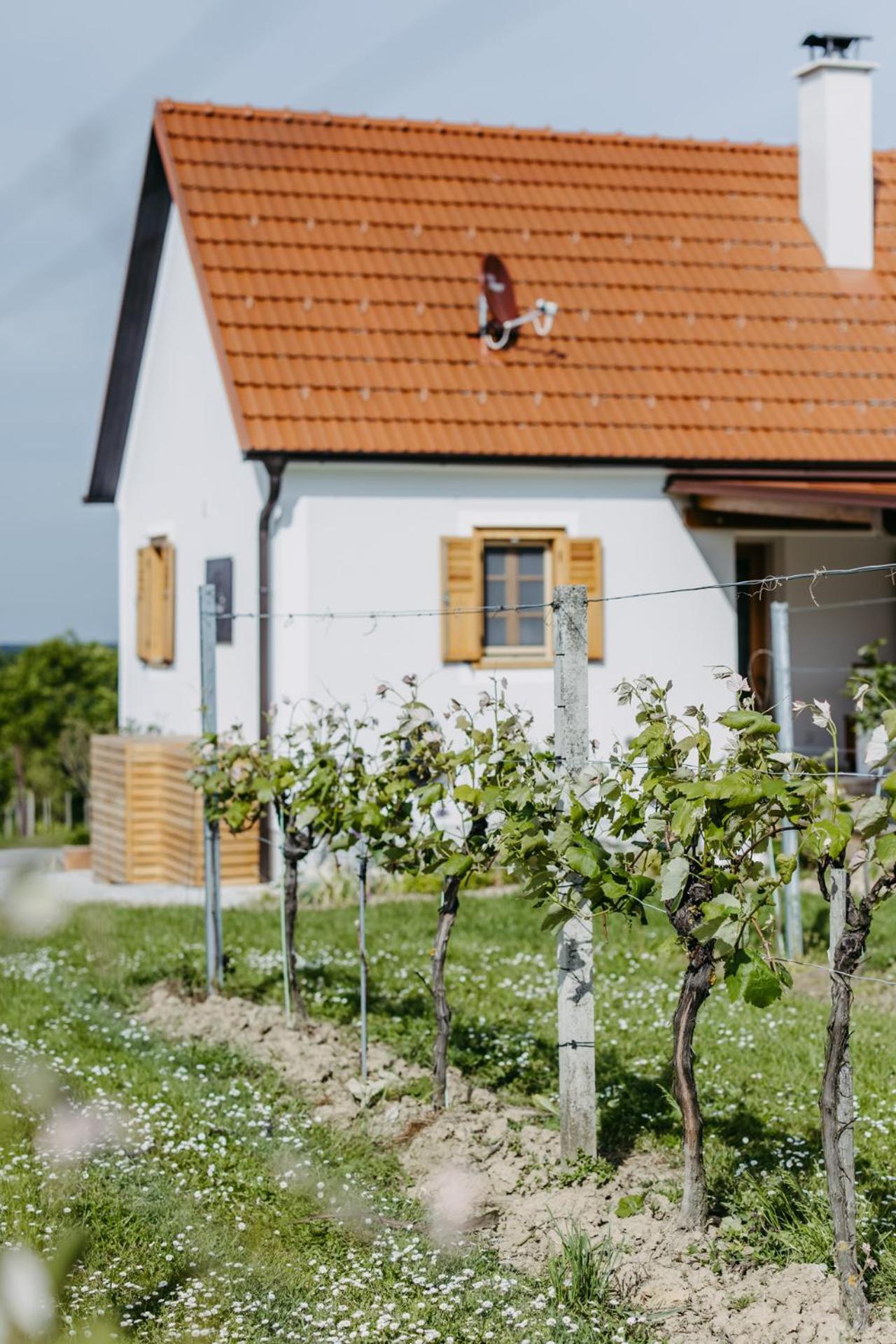 Appartamento Urlaub Im Kellerstoeckl Dunst Strem Camera foto